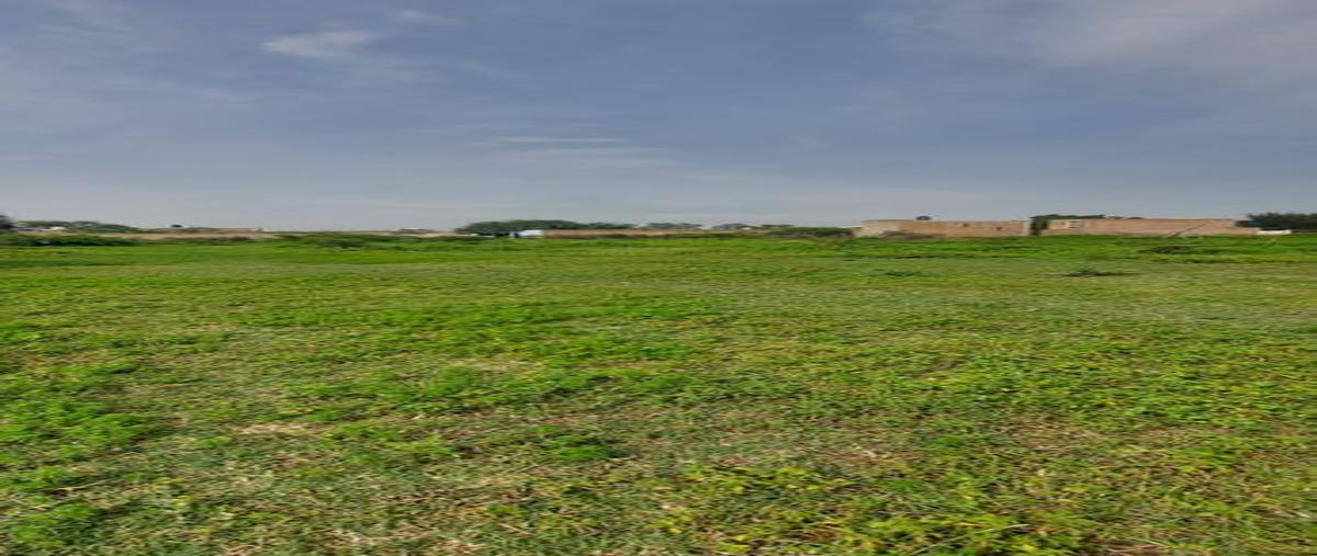 Foto de terreno habitacional en venta en privada sin nombre , el zapote del valle, tlajomulco de zúñiga, jalisco, 0 No. 05