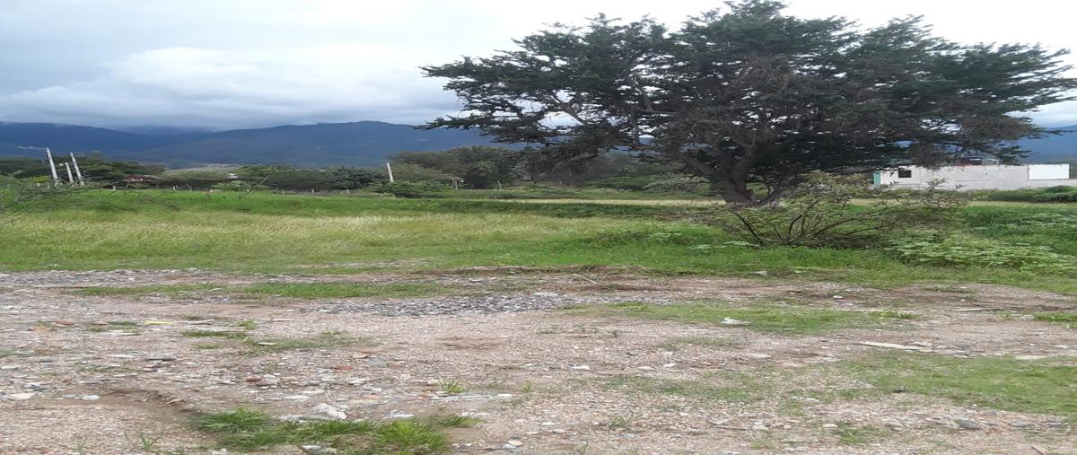 Foto de terreno habitacional en venta en privada s/n , san antonio, tlalixtac de cabrera, oaxaca, 28714863 No. 03
