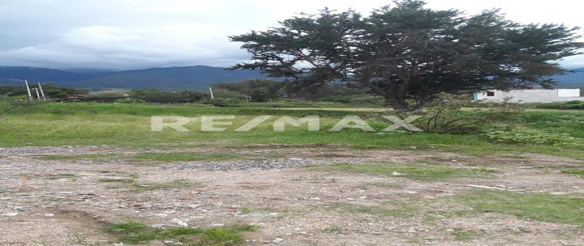 Foto de terreno habitacional en venta en privada s/n , san antonio, tlalixtac de cabrera, oaxaca, 28714863 No. 03