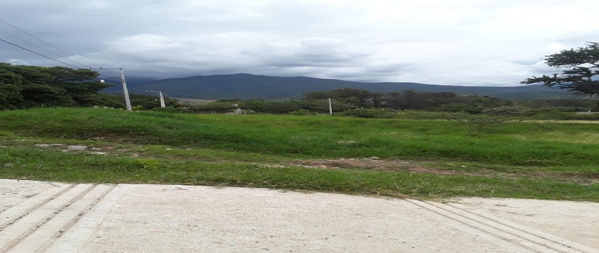 Foto de terreno habitacional en venta en privada s/n , san antonio, tlalixtac de cabrera, oaxaca, 28714863 No. 05