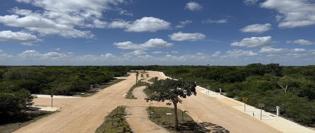 Foto de terreno habitacional en venta en privada , tamanché, mérida, yucatán, 0 No. 05