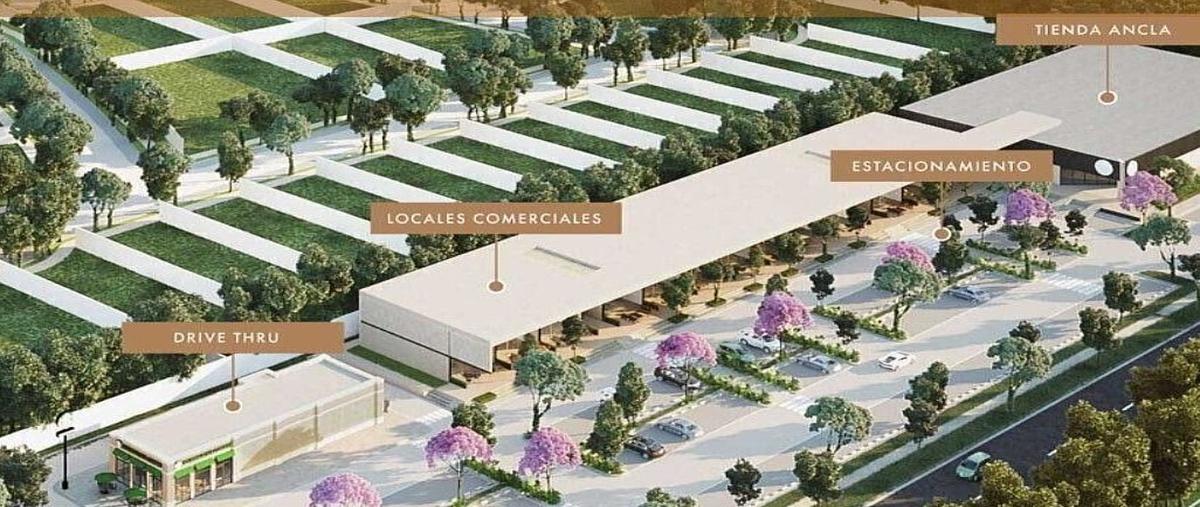 Foto de local en venta en privada tamara , komchen, mérida, yucatán, 30687626 No. 03