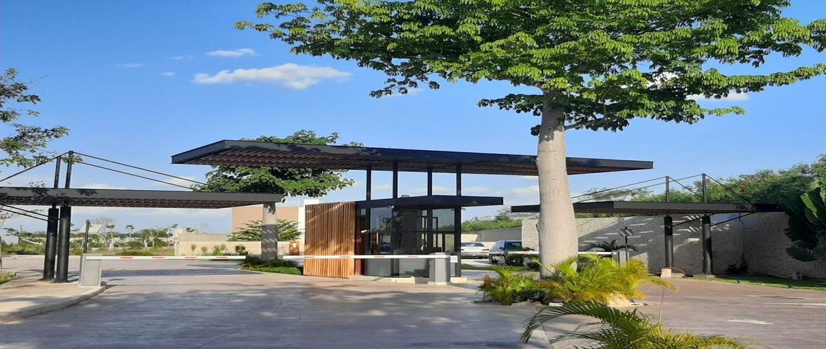 Foto de terreno habitacional en venta en privada única living , la ceiba, mérida, yucatán, 29847132 No. 05