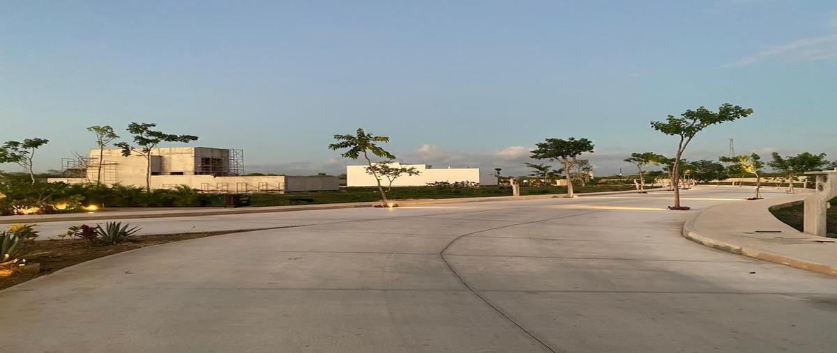 Foto de terreno habitacional en venta en privada única living , la ceiba, mérida, yucatán, 29847132 No. 06
