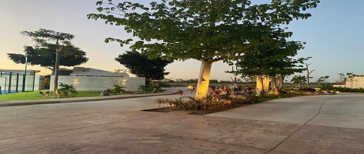 Foto de terreno habitacional en venta en privada única living , la ceiba, mérida, yucatán, 29847132 No. 07