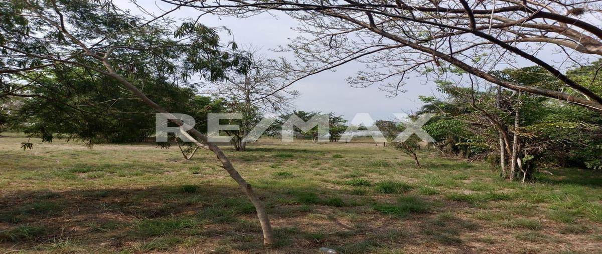 Foto de terreno habitacional en venta en privada vivero , residencial lagunas de miralta, altamira, tamaulipas, 0 No. 05