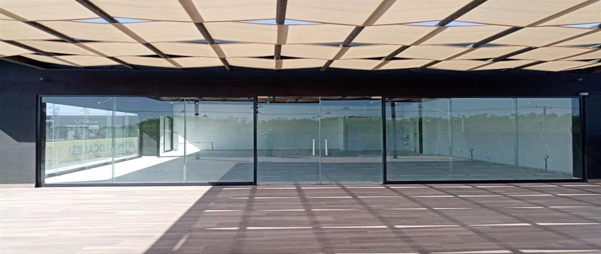 Foto de local en renta en  , privadas borneo, apodaca, nuevo león, 0 No. 02
