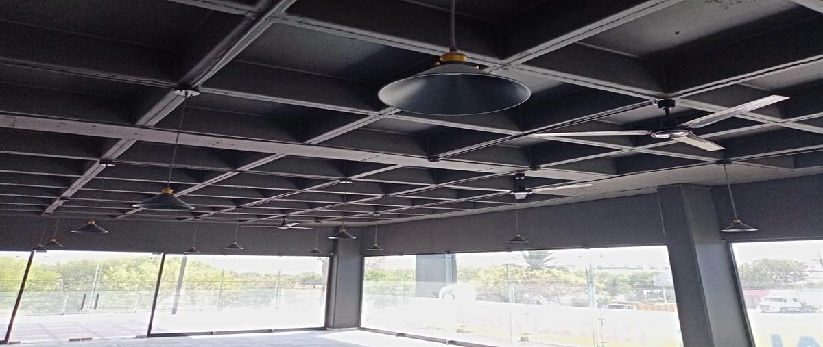 Foto de local en renta en  , privadas borneo, apodaca, nuevo león, 0 No. 05