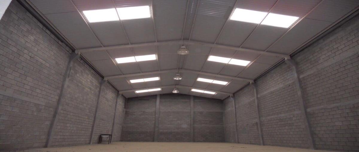 Foto de bodega en renta en  , privadas de lincoln, monterrey, nuevo león, 0 No. 03