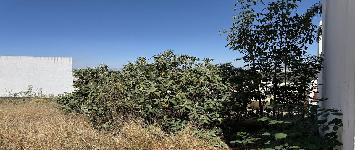 Foto de terreno habitacional en , privadas del pedregal, san luis potosí, san luis potosí, 0 foto 03 Foto de terreno habitacional en venta en , privadas del pedregal, san luis potosí, san luis potosí, 0 No. 03