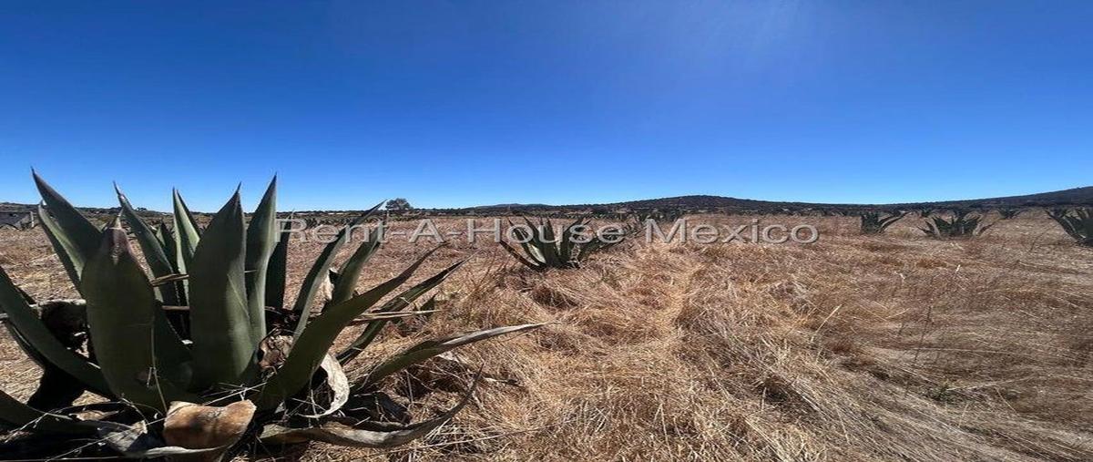 Foto de terreno habitacional en venta en  , privadas santa matílde, zempoala, hidalgo, 0 No. 05