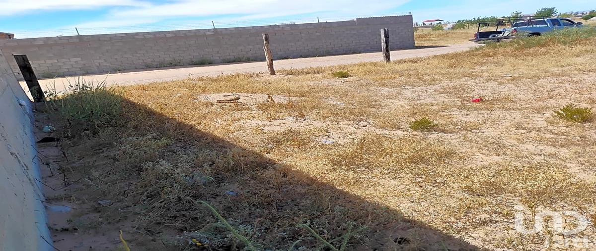 Foto de terreno habitacional en venta en privado ojo de la casa 78, samalayuca, juárez, chihuahua, 30948859 No. 04