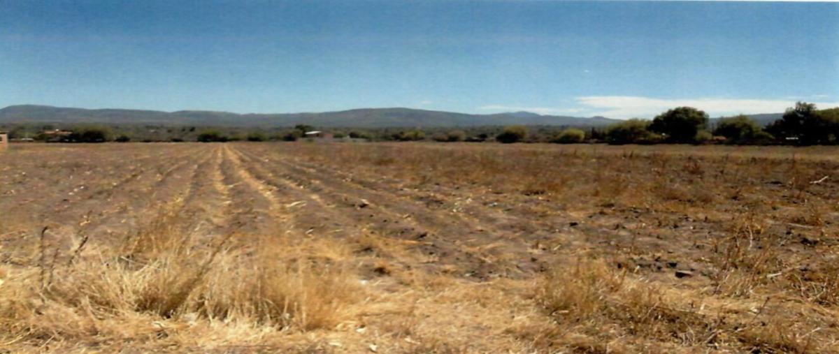 Foto de terreno habitacional en prof. alfonso jiménez guerrero , el calvario, huichapan, hidalgo, 31506310 foto 08 Foto de terreno habitacional en venta en prof. alfonso jiménez guerrero , el calvario, huichapan, hidalgo, 31506310 No. 08