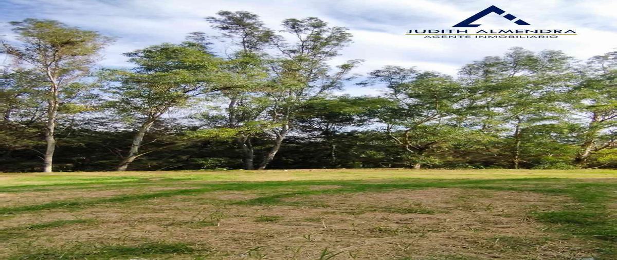 Foto de terreno habitacional en venta en prof. j. romero flores , ciudad guzmán centro, zapotlán el grande, jalisco, 30104201 No. 02