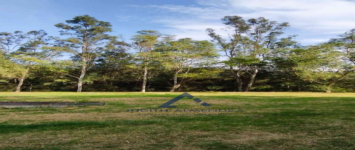 Foto de terreno habitacional en venta en prof. j. romero flores , ciudad guzmán centro, zapotlán el grande, jalisco, 30104201 No. 05