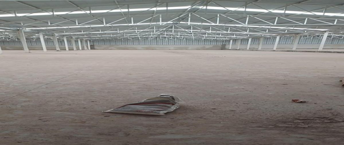 Foto de bodega en renta en prof. jose maria gonzalez cruz , arandas centro, arandas, jalisco, 0 No. 04