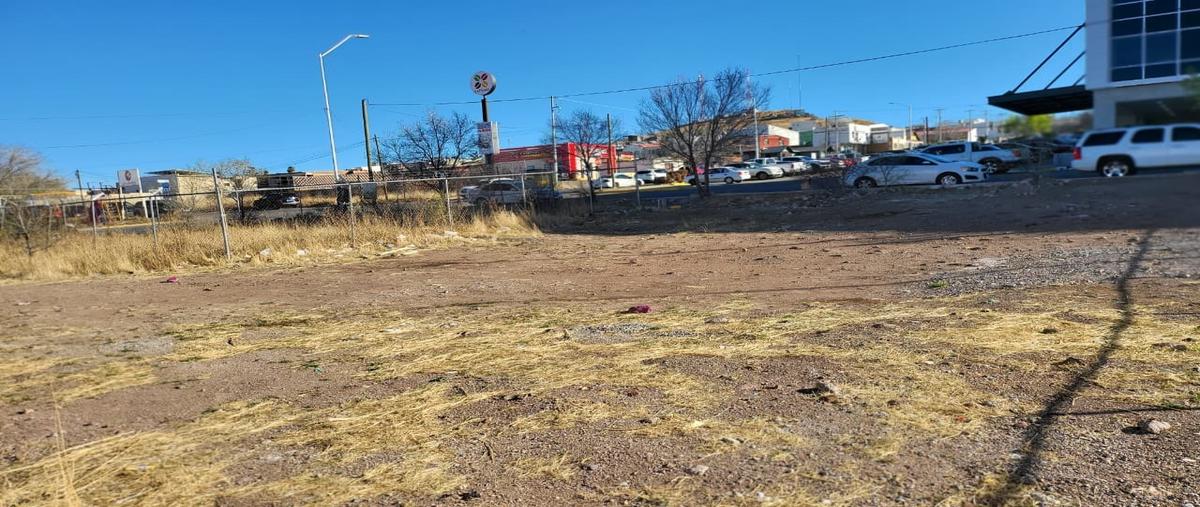 Foto de terreno habitacional en renta en  , progreso, cuauhtémoc, chihuahua, 0 No. 04