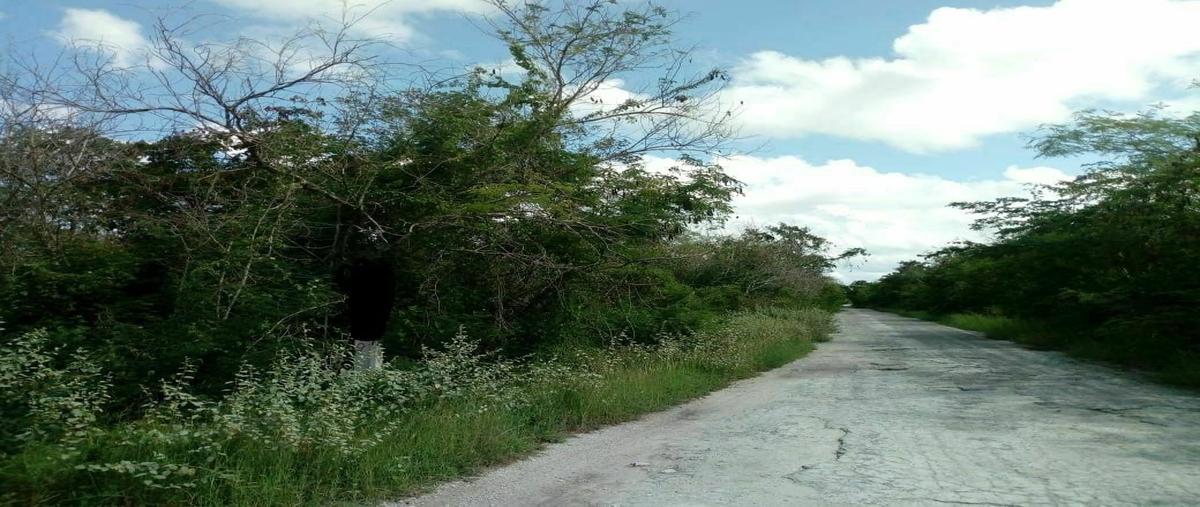 Foto de terreno habitacional en venta en  , progreso de castro centro, progreso, yucatán, 21125485 No. 02