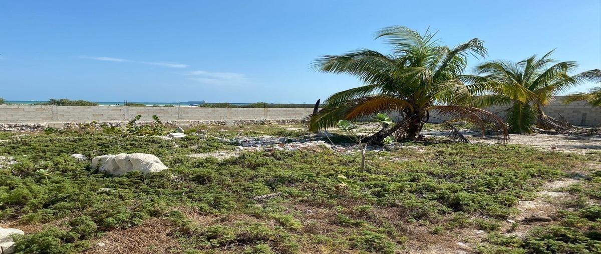 Foto de terreno habitacional en venta en  , progreso de castro centro, progreso, yucatán, 25573742 No. 03
