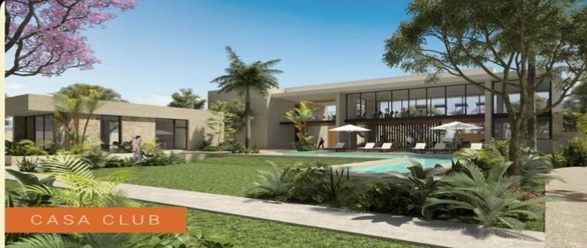 Foto de terreno habitacional en venta en  , progreso de castro centro, progreso, yucatán, 27685739 No. 05
