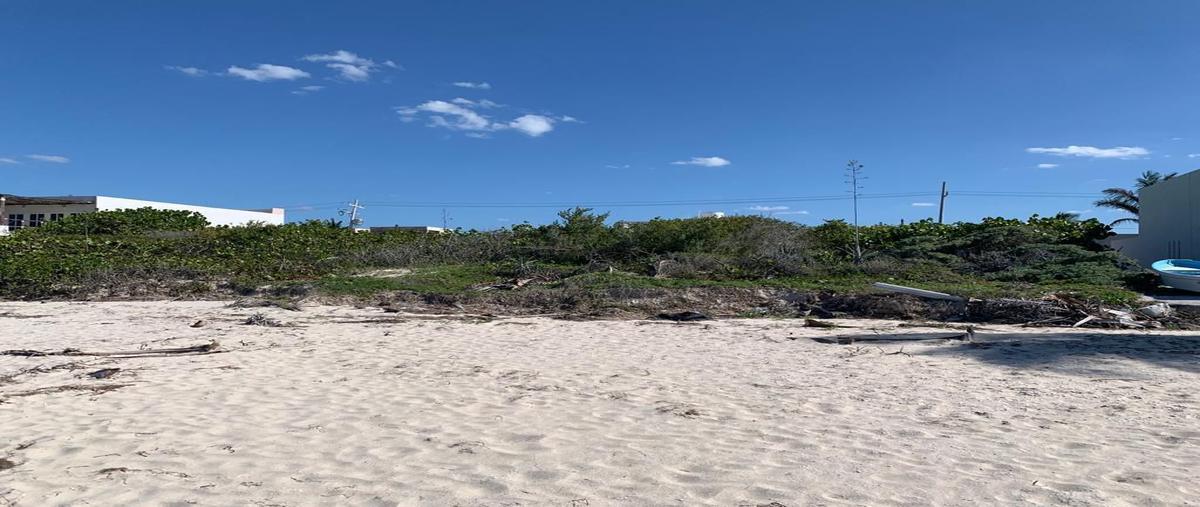 Foto de terreno habitacional en venta en  , progreso de castro centro, progreso, yucatán, 27965421 No. 03