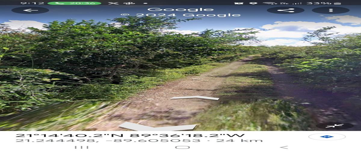 Foto de terreno habitacional en venta en  , progreso de castro centro, progreso, yucatán, 28143577 No. 02