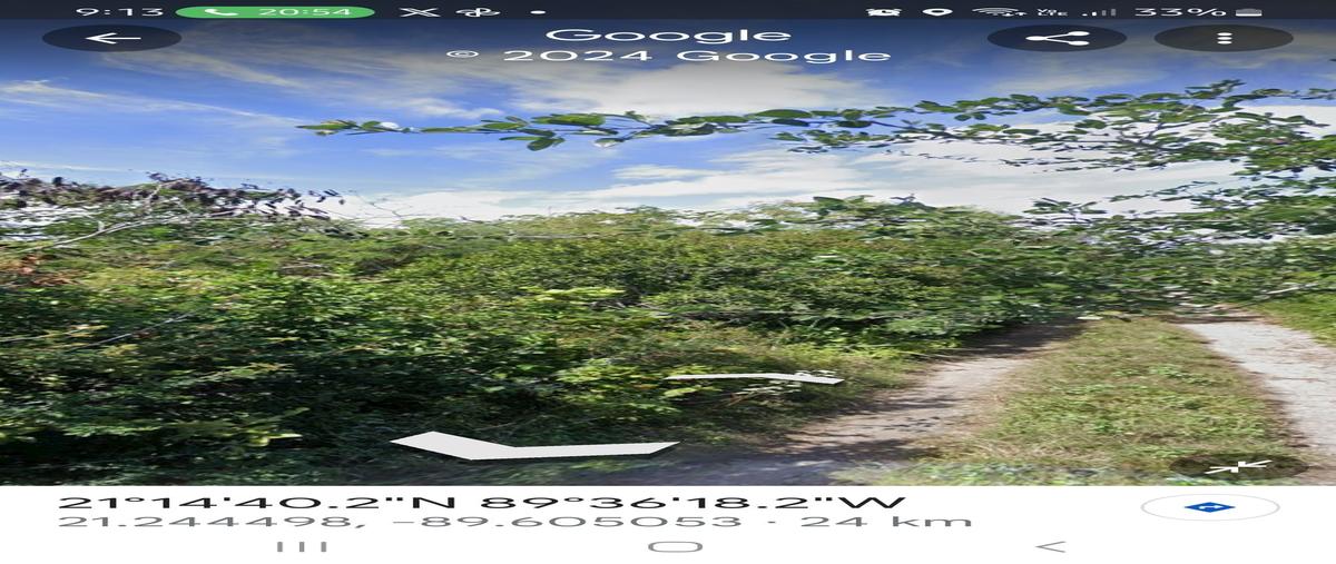 Foto de terreno habitacional en venta en  , progreso de castro centro, progreso, yucatán, 28143577 No. 04