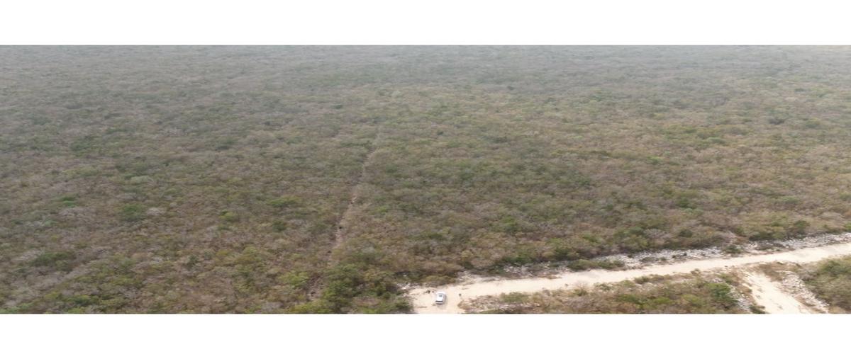 Foto de terreno habitacional en venta en  , progreso de castro centro, progreso, yucatán, 0 No. 03