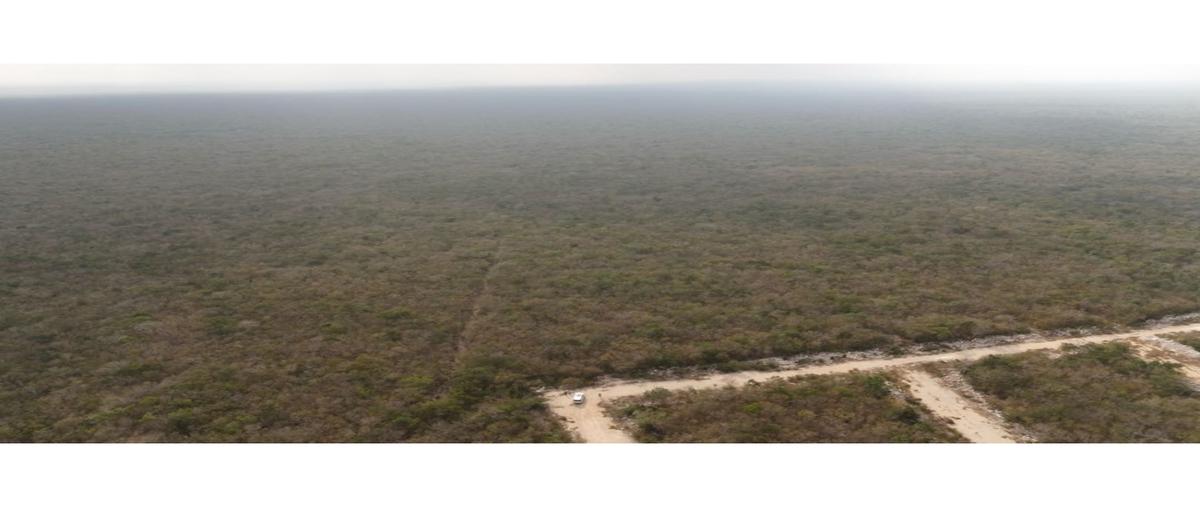 Foto de terreno habitacional en venta en  , progreso de castro centro, progreso, yucatán, 0 No. 04