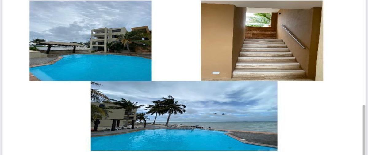 Foto de departamento en venta en  , progreso de castro centro, progreso, yucatán, 0 No. 01