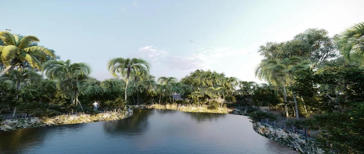 Foto de terreno habitacional en venta en  , progreso de castro centro, progreso, yucatán, 0 No. 05