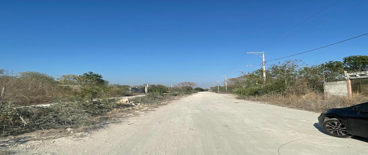 Foto de terreno habitacional en venta en  , progreso de castro centro, progreso, yucatán, 0 No. 03