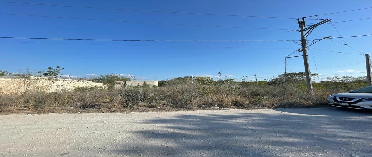 Foto de terreno habitacional en venta en  , progreso de castro centro, progreso, yucatán, 0 No. 04