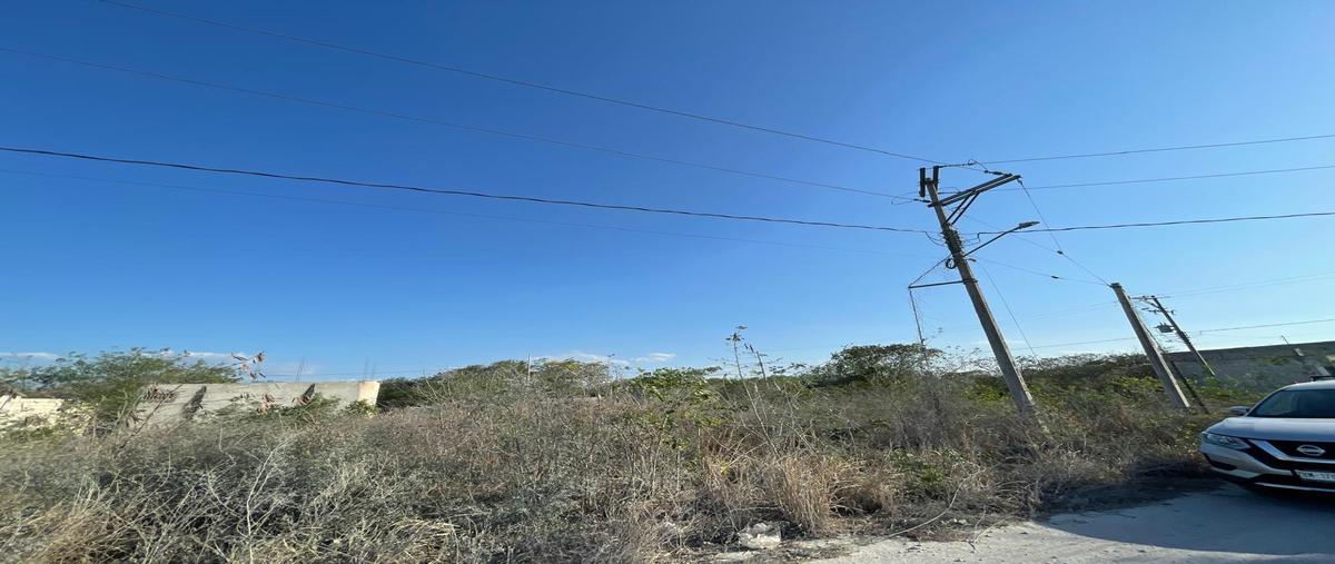 Foto de terreno habitacional en venta en  , progreso de castro centro, progreso, yucatán, 0 No. 05