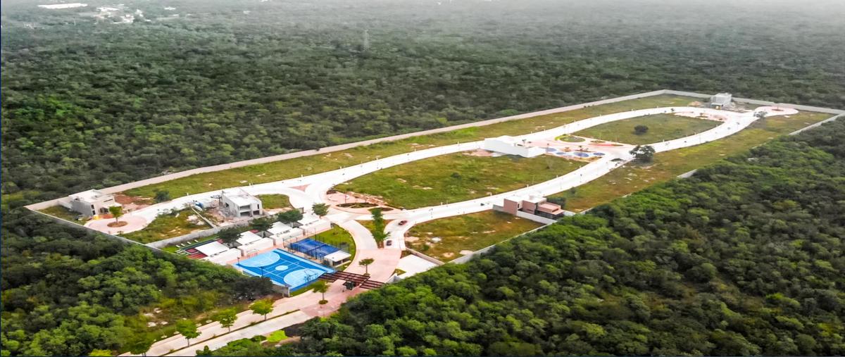 Foto de terreno habitacional en venta en  , progreso de castro centro, progreso, yucatán, 0 No. 03