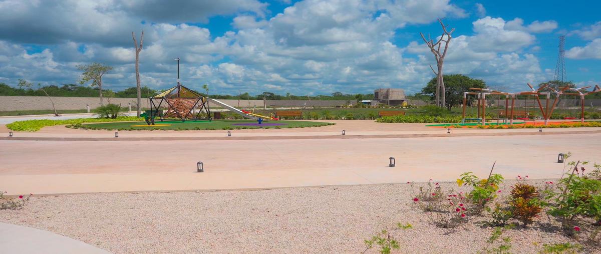 Foto de terreno habitacional en venta en  , progreso de castro centro, progreso, yucatán, 0 No. 05