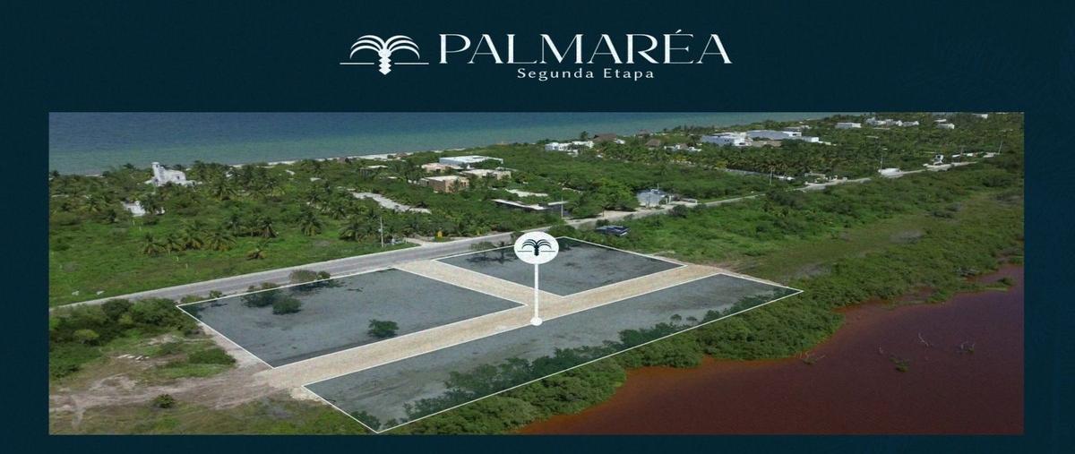 Foto de terreno habitacional en venta en  , progreso de castro centro, progreso, yucatán, 0 No. 01