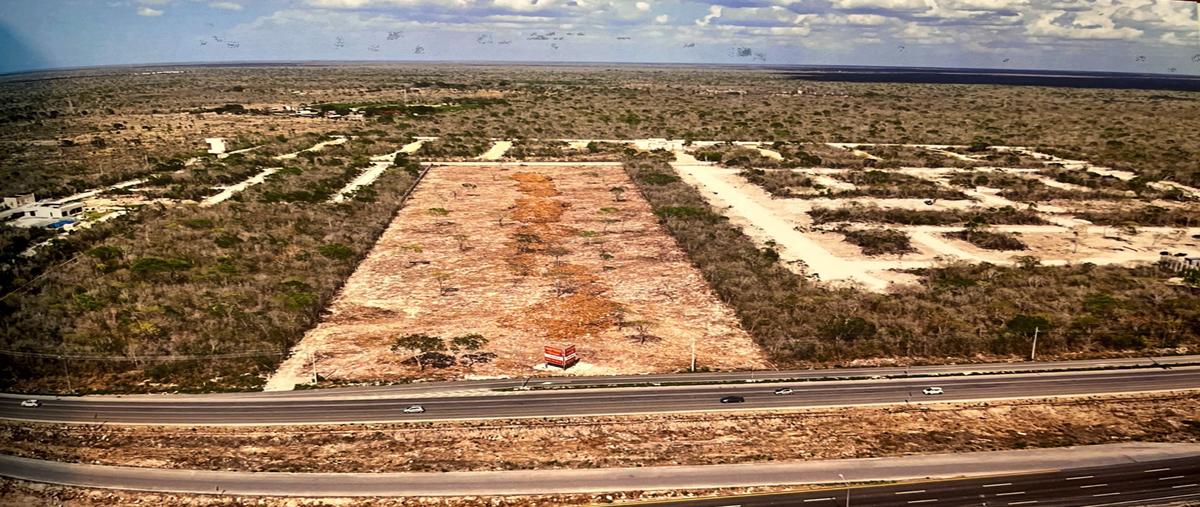 Foto de terreno habitacional en venta en  , progreso de castro centro, progreso, yucatán, 30235366 No. 02