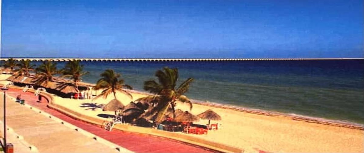 Foto de terreno habitacional en venta en  , progreso de castro centro, progreso, yucatán, 30235366 No. 05