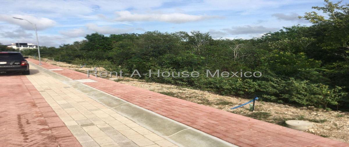 Foto de terreno habitacional en venta en  , progreso de castro centro, progreso, yucatán, 30348327 No. 04