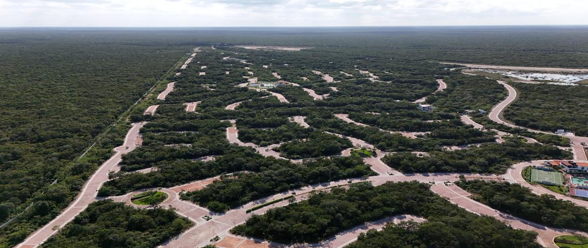 Foto de terreno habitacional en venta en  , progreso de castro centro, progreso, yucatán, 0 No. 03