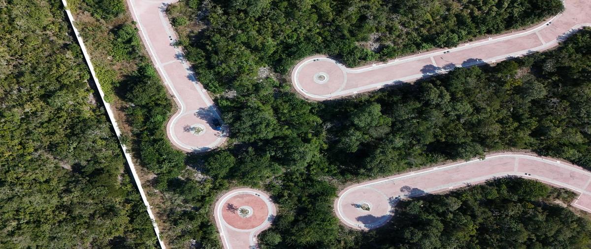 Foto de terreno habitacional en venta en  , progreso de castro centro, progreso, yucatán, 0 No. 04