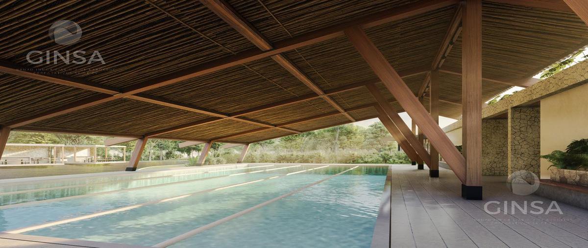 Foto de terreno habitacional en venta en  , progreso de castro centro, progreso, yucatán, 0 No. 05