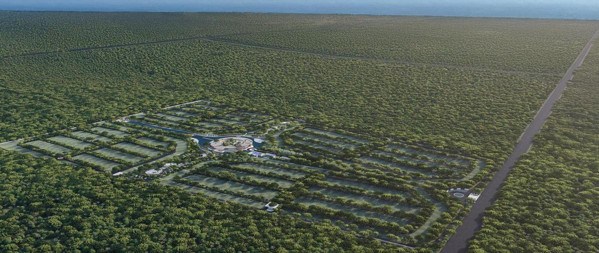 Foto de terreno habitacional en venta en  , progreso de castro centro, progreso, yucatán, 0 No. 04