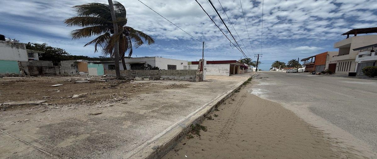 Foto de terreno habitacional en venta en  , progreso de castro centro, progreso, yucatán, 0 No. 04