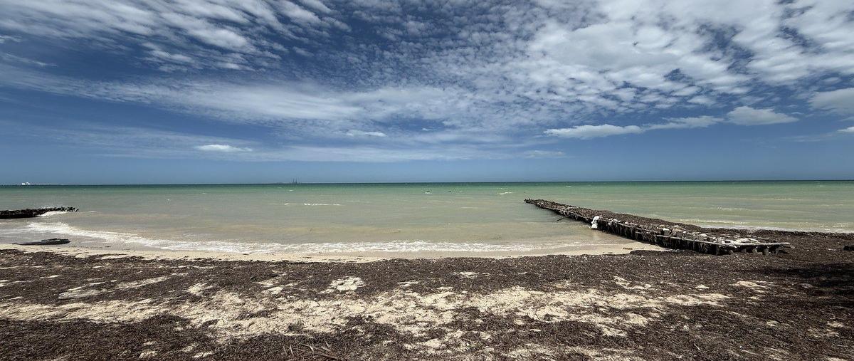 Foto de terreno habitacional en venta en  , progreso de castro centro, progreso, yucatán, 0 No. 05