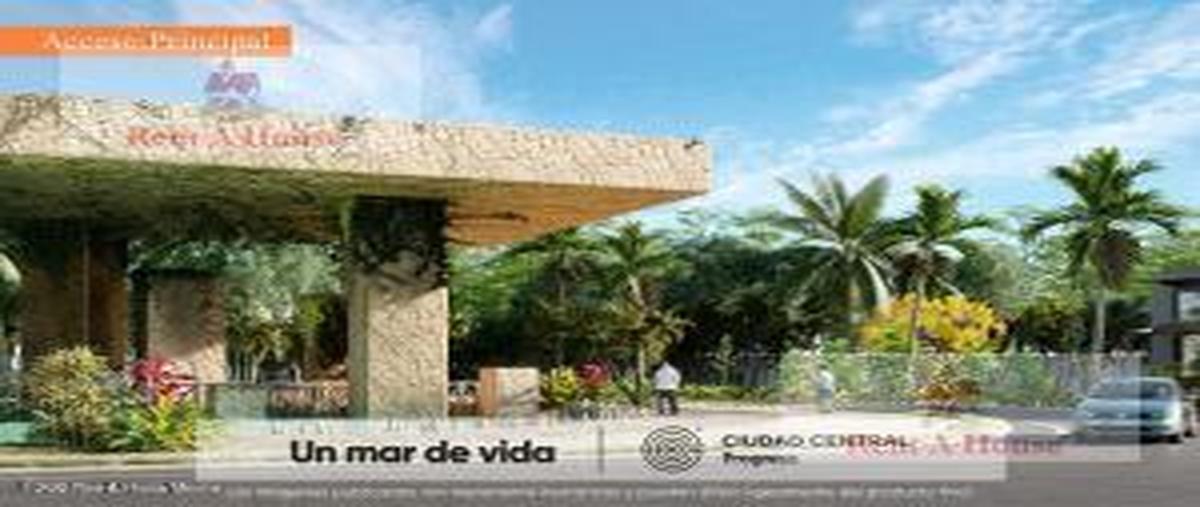 Foto de terreno habitacional en , progreso de castro centro, progreso, yucatán, 0 foto 02 Foto de terreno habitacional en venta en , progreso de castro centro, progreso, yucatán, 0 No. 02