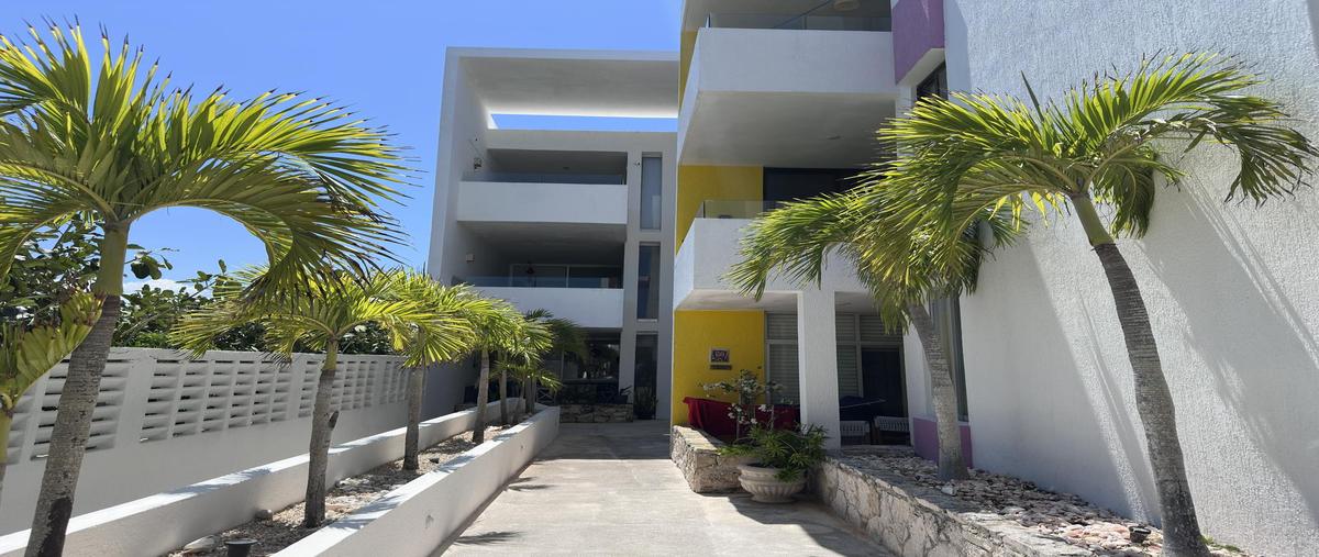 Foto de departamento en venta en  , progreso de castro centro, progreso, yucatán, 31426609 No. 05