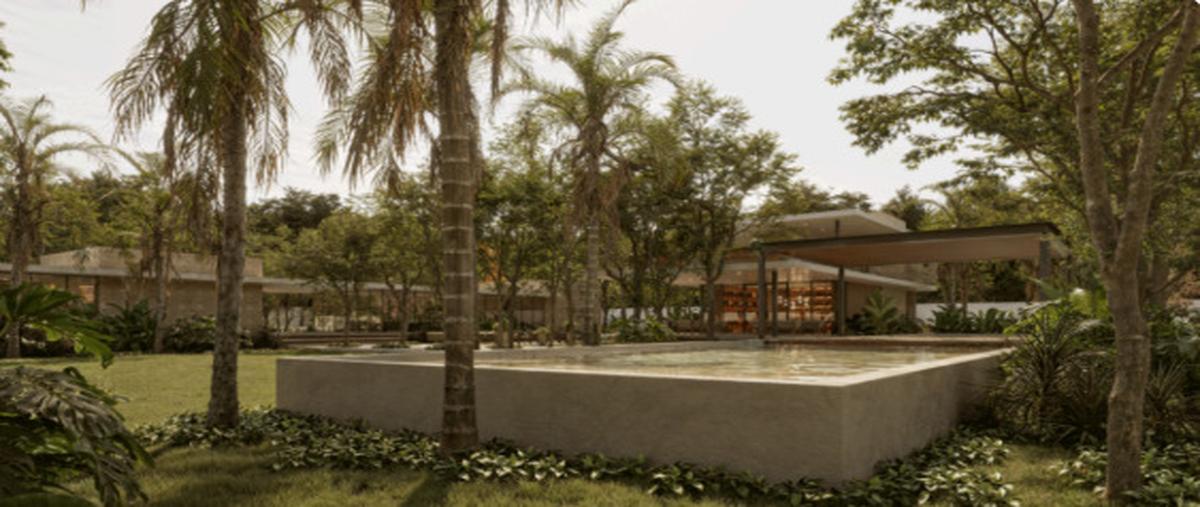Foto de terreno habitacional en venta en  , progreso de castro centro, progreso, yucatán, 0 No. 04