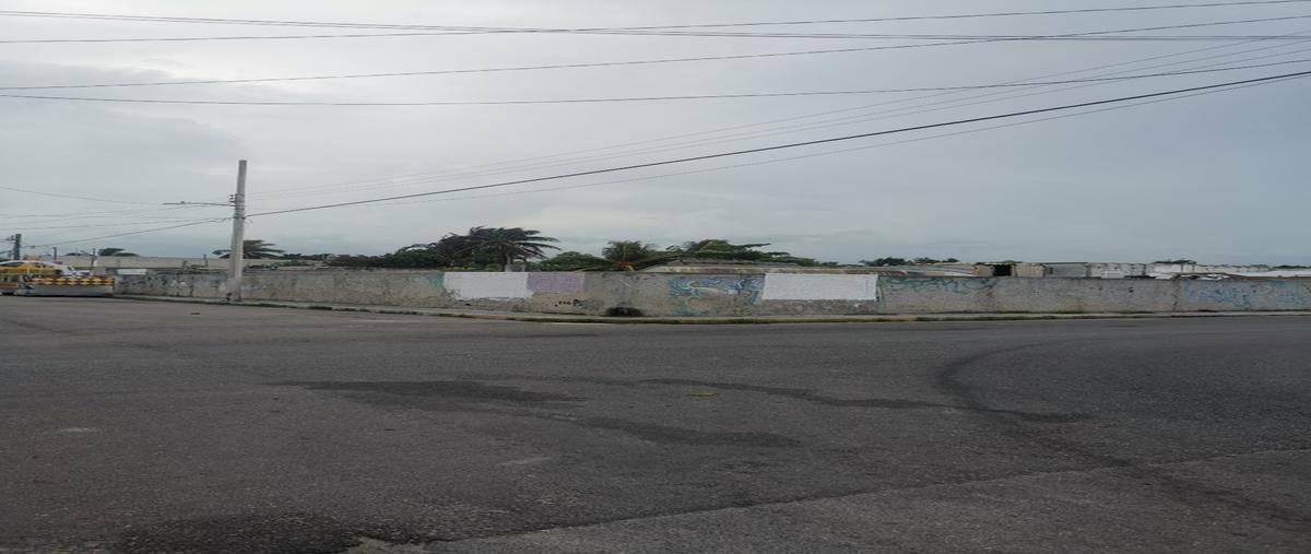 Foto de terreno habitacional en renta en progreso de castro centro whi299119, progreso de castro centro, progreso, yucatán, 0 No. 04